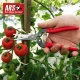 Ψαλίδι τρύγου και συλλογής φρούτων ARS 300L 