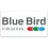 BLUE BIRD